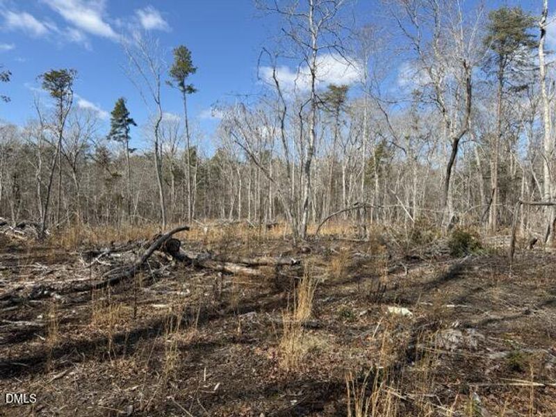 IMG_3246 Medium IMG_3246 Medium