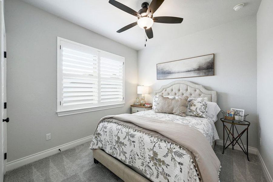 Carpeted bedroom with baseboards and ceiling fan Carpeted bedroom with baseboards and ceiling fan