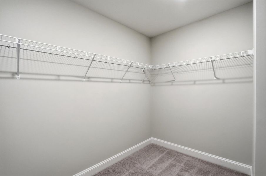 Spacious, unfurnished interior of a new home in Carrington, Stanley (Image 55).