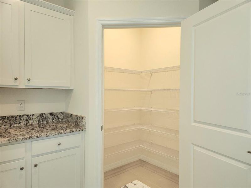 Kitchen pantry