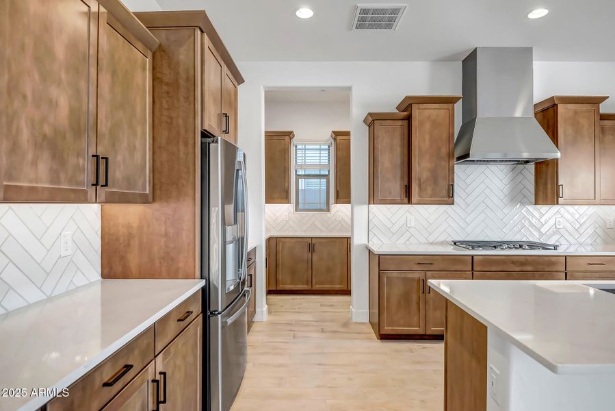 Palo Verde Lot 302 (25)