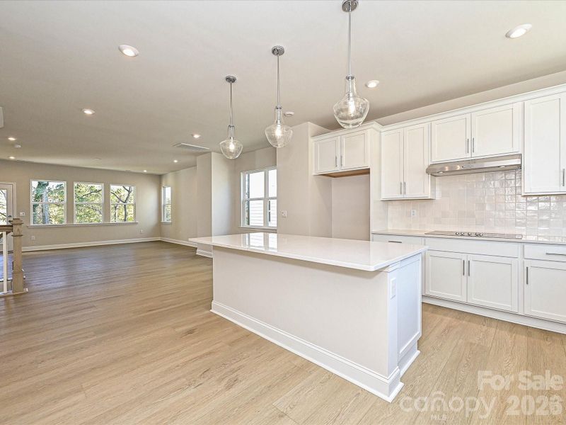 Gourmet Kitchen with Electric Cooktop Gourmet Kitchen with Electric Cooktop