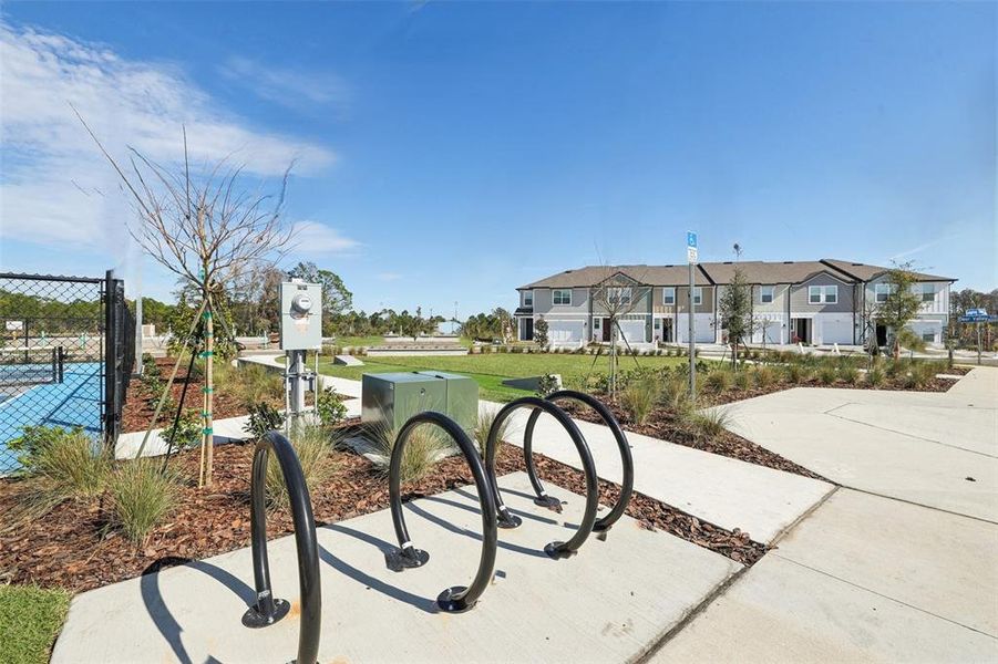 Community amenities in , Tampa (Image 18).