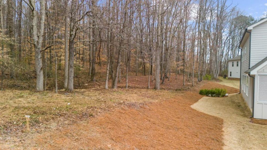 Natural landscape and outdoor views near  in Canton (Image 76).