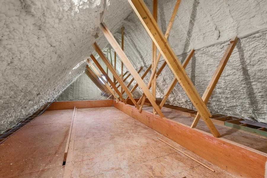 View of unfinished attic
