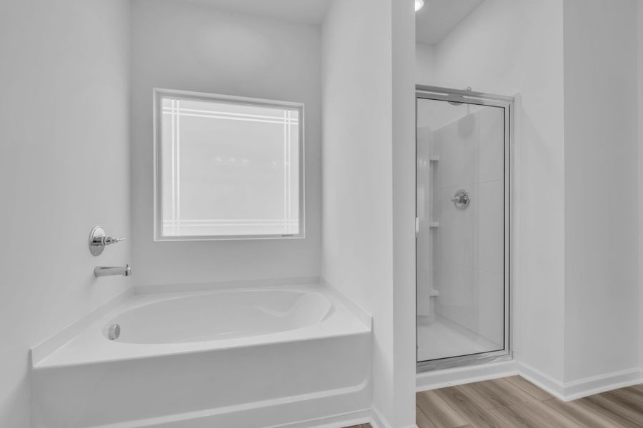 The McGinnis Primary Bathroom