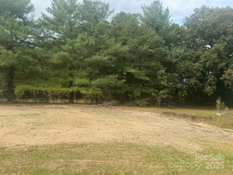 Natural landscape and outdoor views near  in Pageland (Image 11).