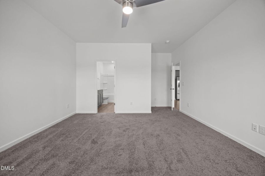 22-web-or-mls-6S8A5228