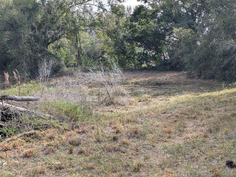 Natural landscape and outdoor views near  in Arcadia (Image 30).