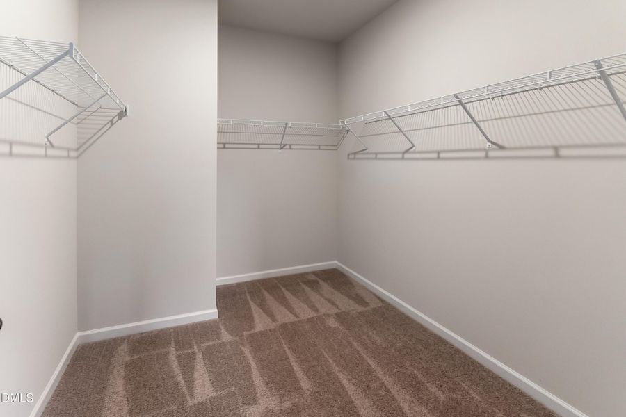 Masssive Walk-In Closet Masssive Walk-In Closet