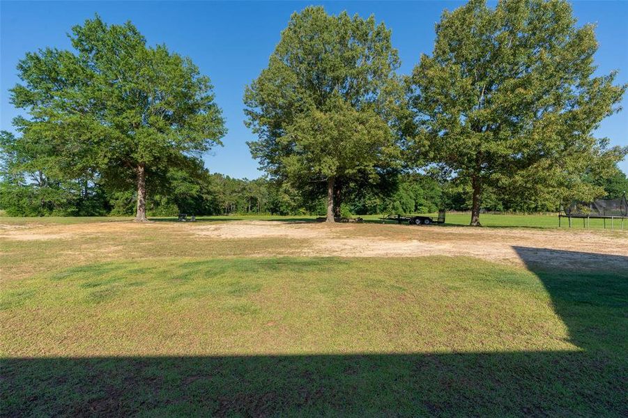 Natural landscape and outdoor views near  in Hallsville (Image 35).