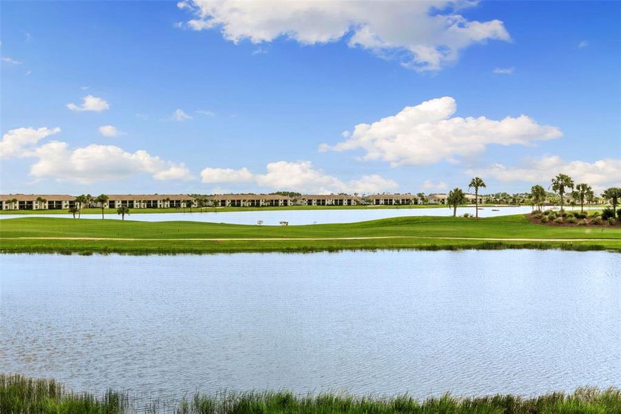 Natural landscape and outdoor views near  in Punta Gorda (Image 30).