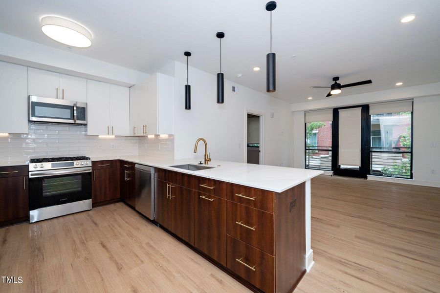 8-web-or-mls-615 W Peace St 306 (3 of 21