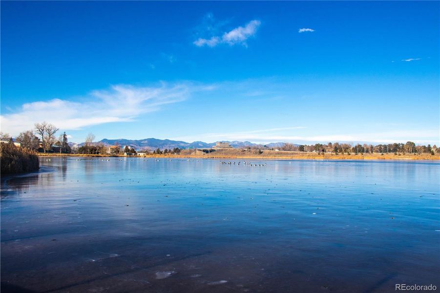 Natural landscape and outdoor views near  in Denver (Image 7).