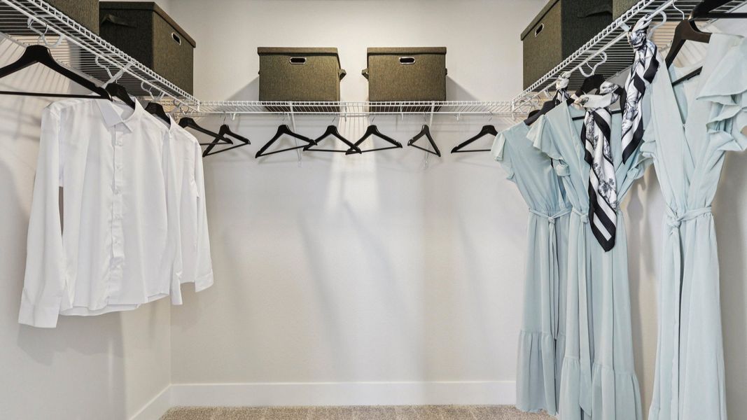 The Primary Closet