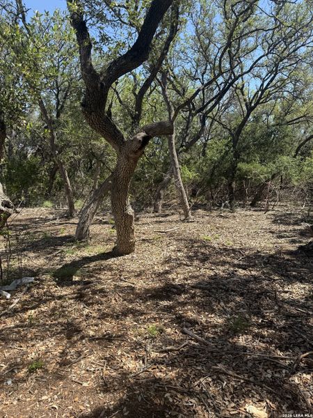 Natural landscape and outdoor views near in Bandera (Image 14). Natural landscape and outdoor views near in Bandera (Image 14).