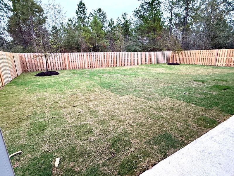 Huge rear yard with sprinkler system and a private wall of trees! Plenty of room for a pool! Huge rear yard with sprinkler system and a private wall of trees! Plenty of room for a pool!
