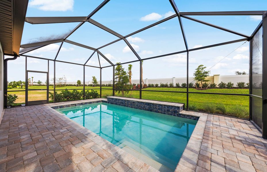 Pool with screened-in cage