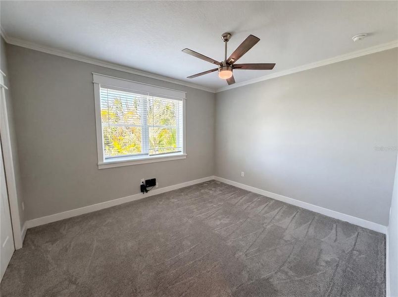 Spacious, unfurnished interior of a new home in , Dunedin (Image 43).