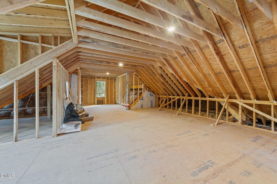 49-web-or-mls-VB4A0602