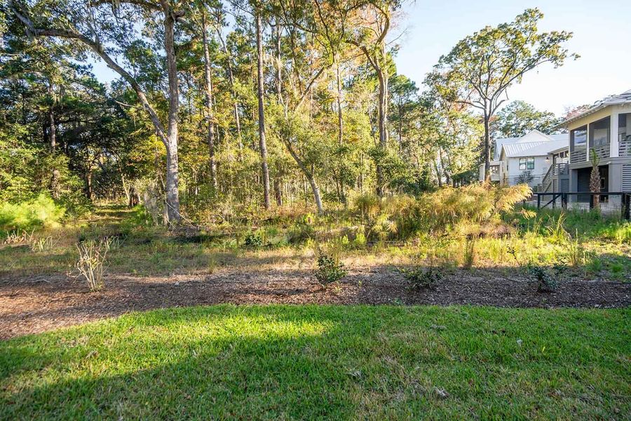 Natural landscape and outdoor views near  in Johns Island (Image 44).