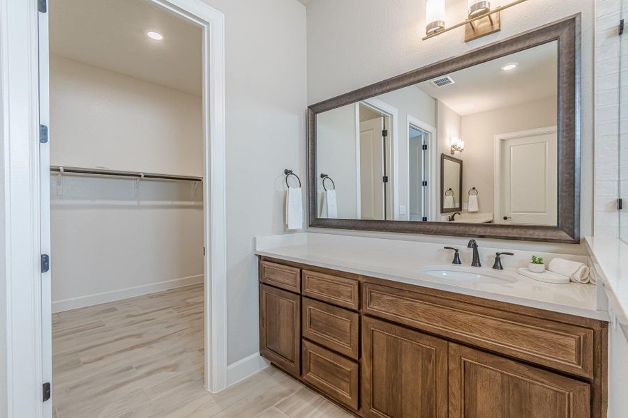 Bathroom with wood finished floors, vanity, visible vents, baseboards, and a spacious closet