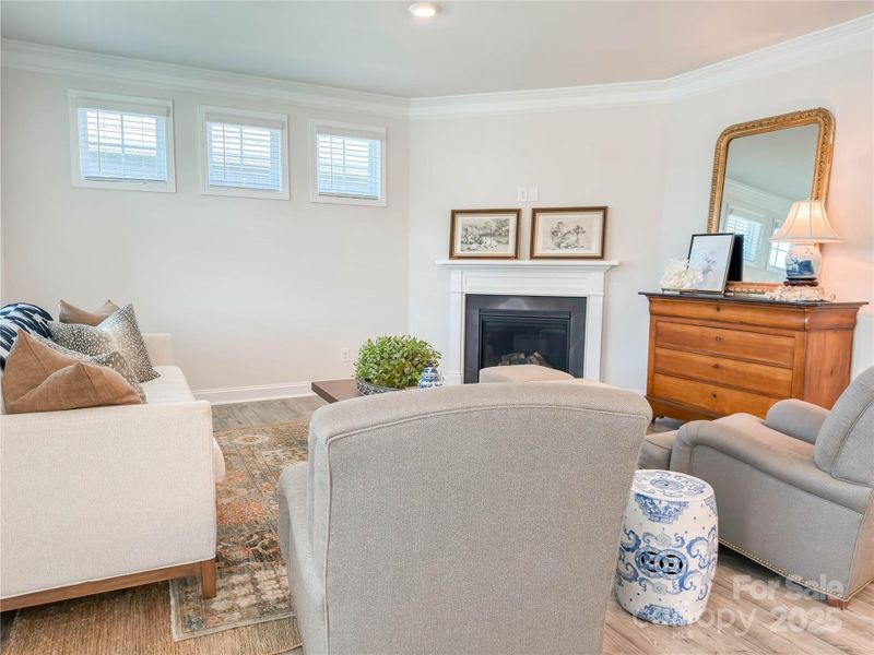 Furnished interior view inside a new home in Brookside, Troutman (Image 15).