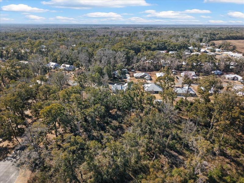 Natural landscape and outdoor views near  in Fanning Springs (Image 45).