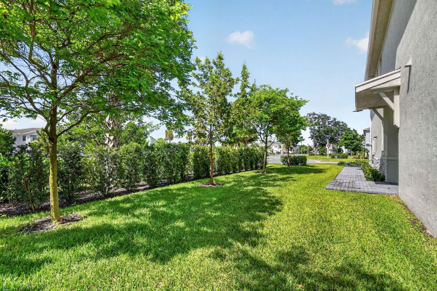 Side yard