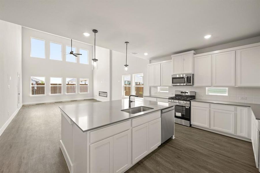 1724 Nesting Robin- Kitchen-7002