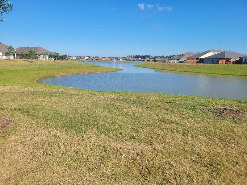 Natural landscape and outdoor views near Granger Pines in Conroe (Image 34).