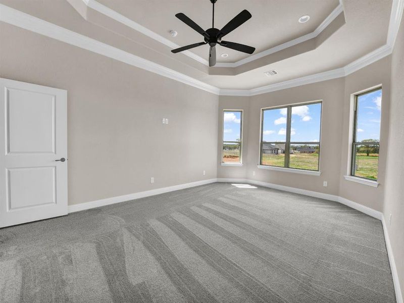 Carpeted empty room featuring crown molding, a tray ceiling, baseboards, visible vents, and a ceiling fan Carpeted empty room featuring crown molding, a tray ceiling, baseboards, visible vents, and a ceiling fan