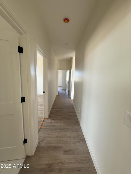 Photo Sep 06 2025, 4 41 09 PM Photo Sep 06 2025, 4 41 09 PM