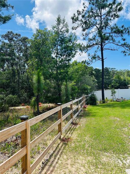Natural landscape and outdoor views near  in Dunnellon (Image 35).