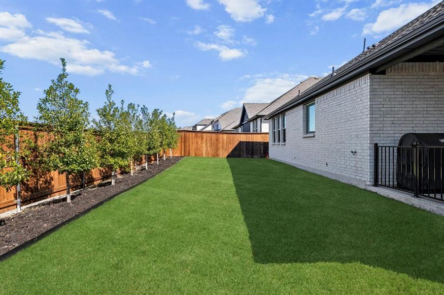 View of fenced backyard. Owner added trees and landscaping area for added privacy.