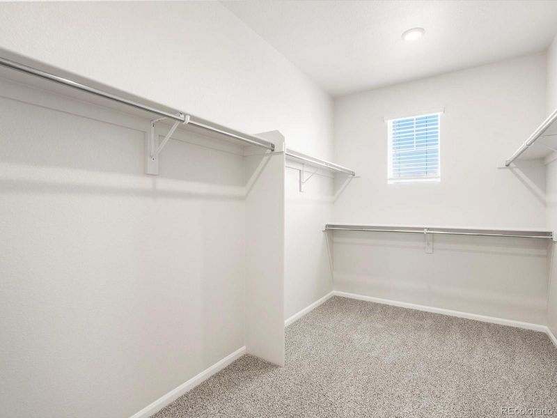 Image 42 of a home in Poudre Heights: The Alpine Collection.