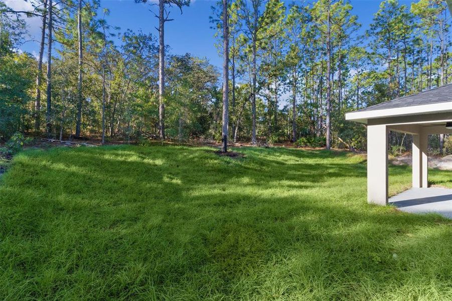 Exterior details and patio area of a home in , Citrus Springs (Image 23).