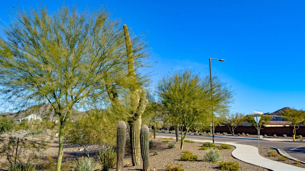 Community amenities associated with the Amherst by D.R. Horton in Aloravita, Peoria (Image 16).