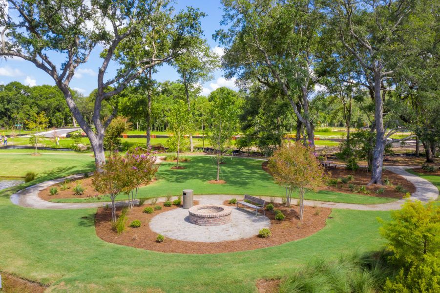 Natural landscape and outdoor views near Liberty Hill Farm in Mount Pleasant (Image 31).
