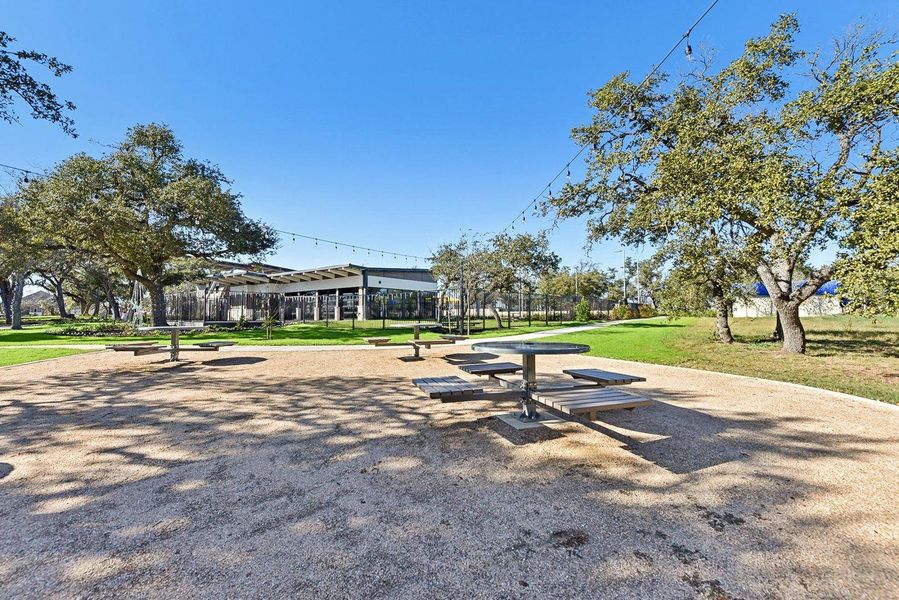 A community park with picnic tables under string lights, offering ample green space and shade trees.