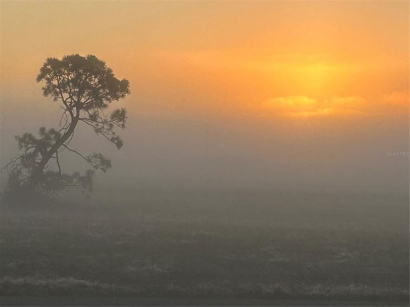 Natural landscape and outdoor views near  in Placida (Image 48).