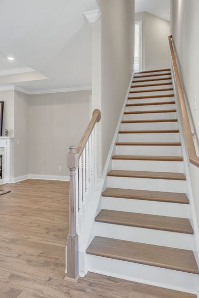 Ridgeland II Ridgeland II