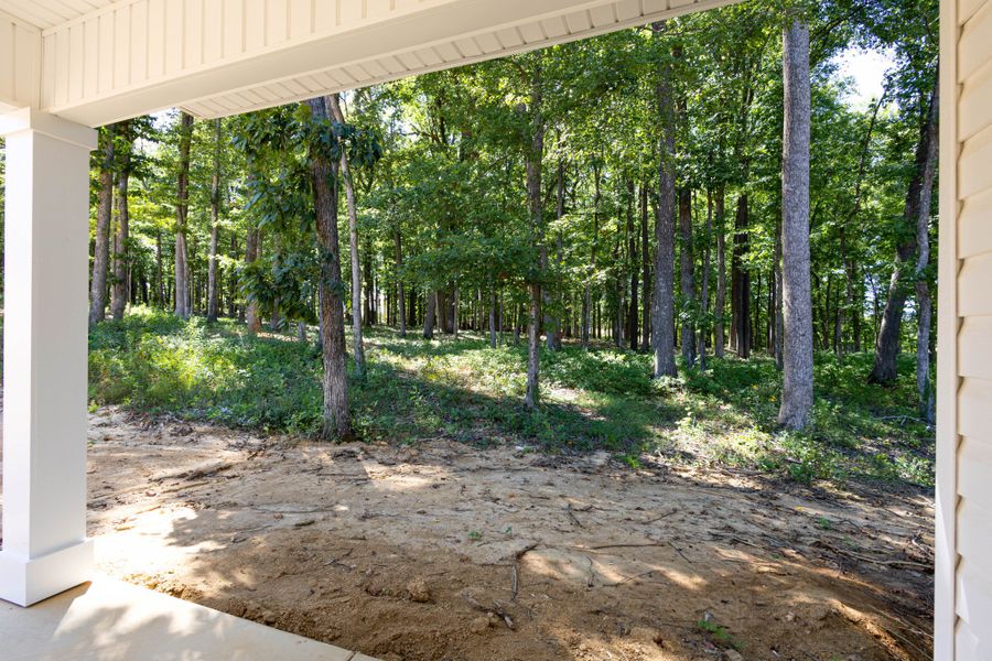 Incredible view of your wooded property!