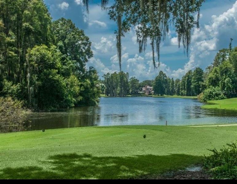 Natural landscape and outdoor views near  in Lutz (Image 9).
