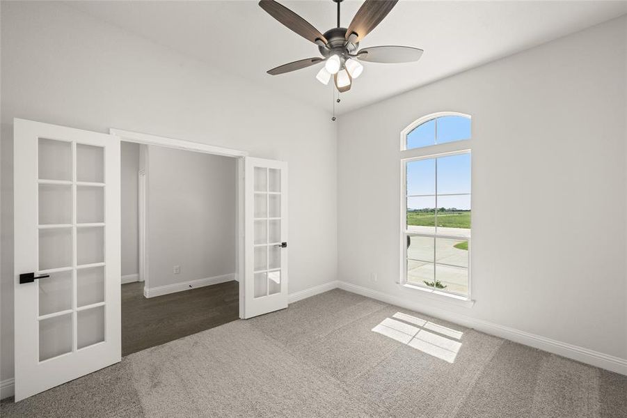 108 Red Fox- Study-1 108 Red Fox- Study-1