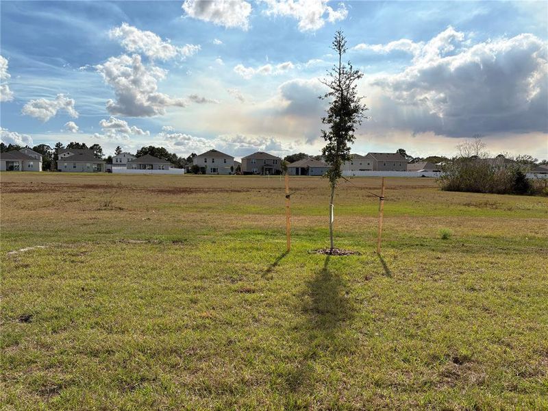 Natural landscape and outdoor views near Sky Lakes Towns in St. Cloud (Image 14).