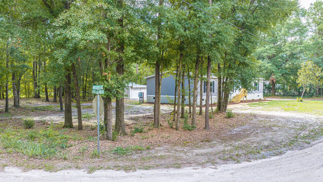 Natural landscape and outdoor views near  in Walterboro (Image 67).