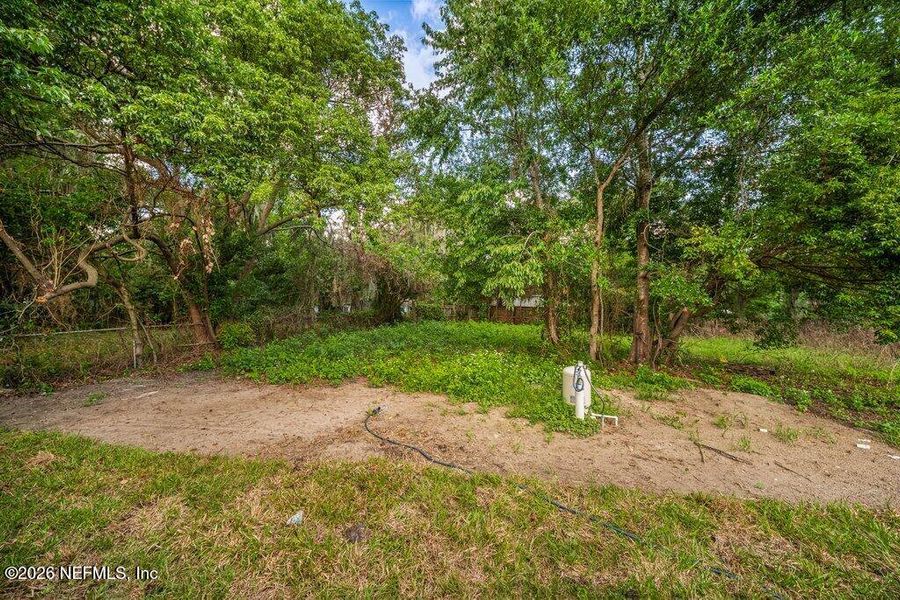 Natural landscape and outdoor views near  in Jacksonville (Image 25).