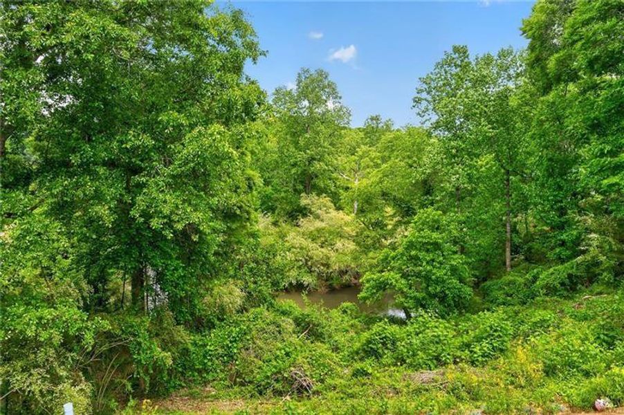 Natural landscape and outdoor views near in Roswell (Image 43). Natural landscape and outdoor views near in Roswell (Image 43).