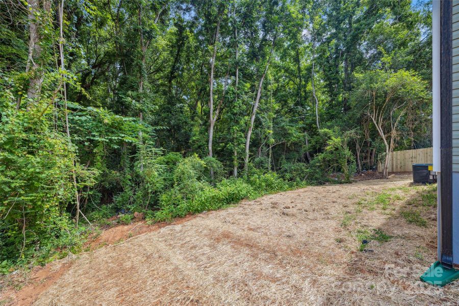 Back Yard with private view